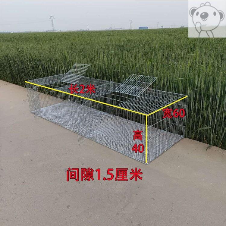 兔子鸽鹌鹑小鸡笼子家用室外超大号养殖专用加密加粗镀锌铁丝特大图片