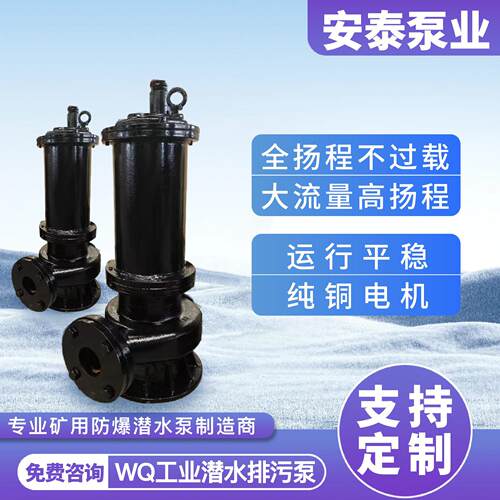 安泰泵业集水池污水提升泵移动式潜水排污泵雨水池自耦式污水泵