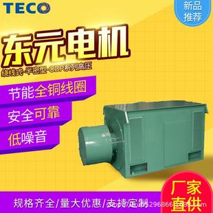 卧式 东元 ODP系列高压电机异步YR 半密型 250KW 电机马达绕线式