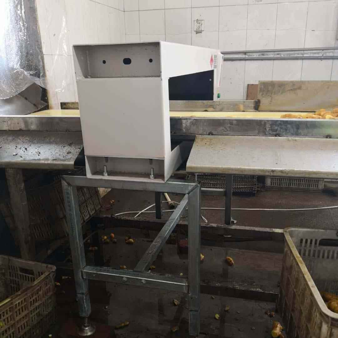 金属检测机 食品药品全金属探测仪 自动剔除式金属检测机厂家