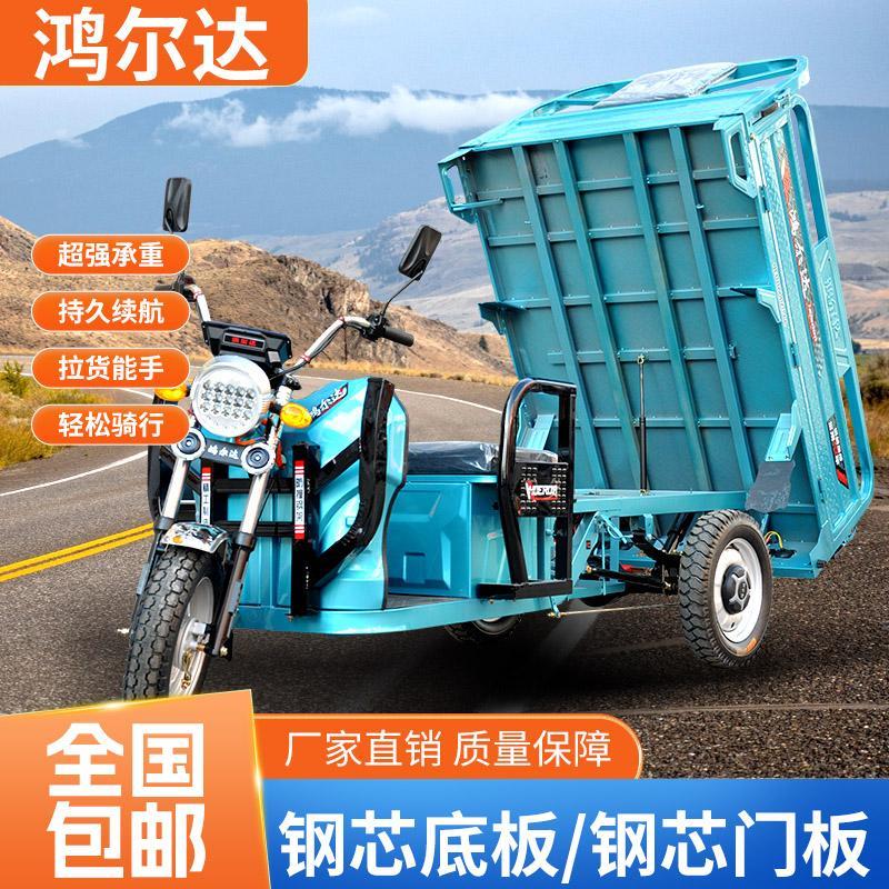 加厚全钢板车厢拉货家用接孩子载重长跑王电瓶电动三轮车快递车