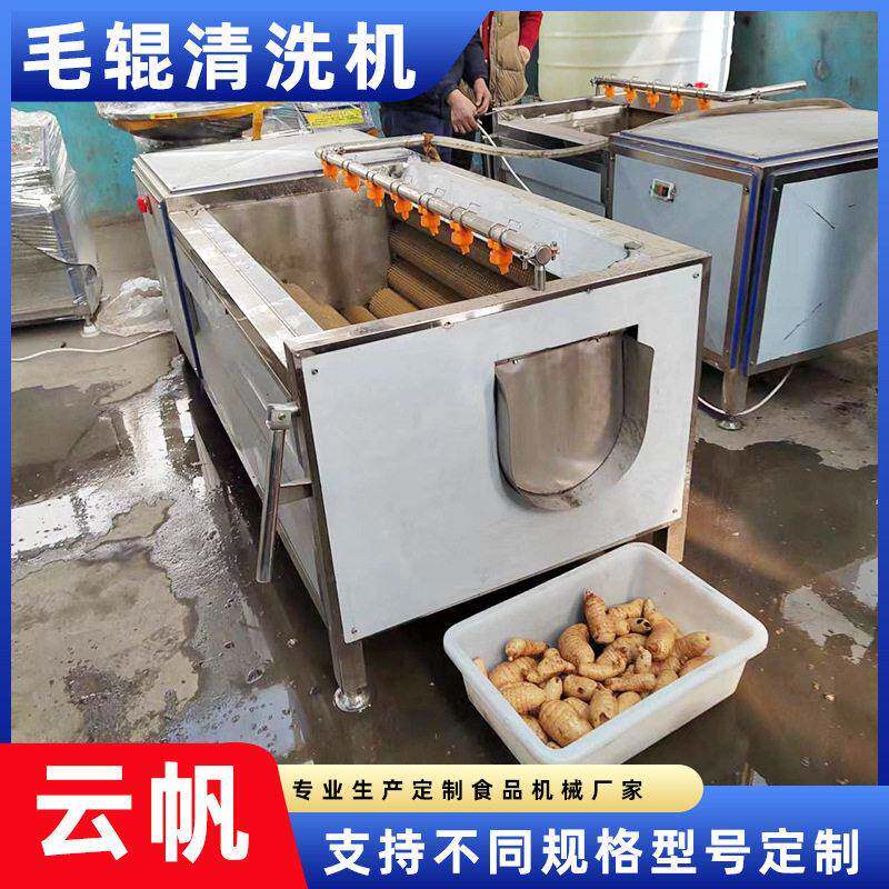 土豆毛辊清洗机大姜根茎果蔬去泥沙清洗机根茎果蔬毛辊清洗机