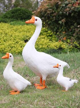 真羽毛彷真鹅大白鹅鸡鸭鹅动物模型家禽标本庭院园林摆件拍摄道具