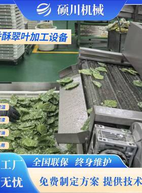 香酥翠叶裹浆油炸流水线 炸桑叶的机器 天妇罗面包虾全自动油炸机