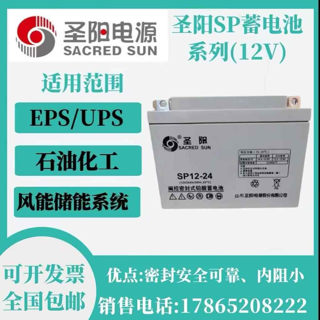 圣阳SP12-100阀控密封式铅酸蓄电池UPS24 38 65 120 150 12V200AH