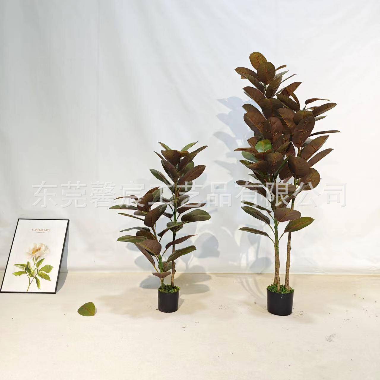 橡树叶室内造景装饰假绿植热带植物盆栽拍照环创森系装饰