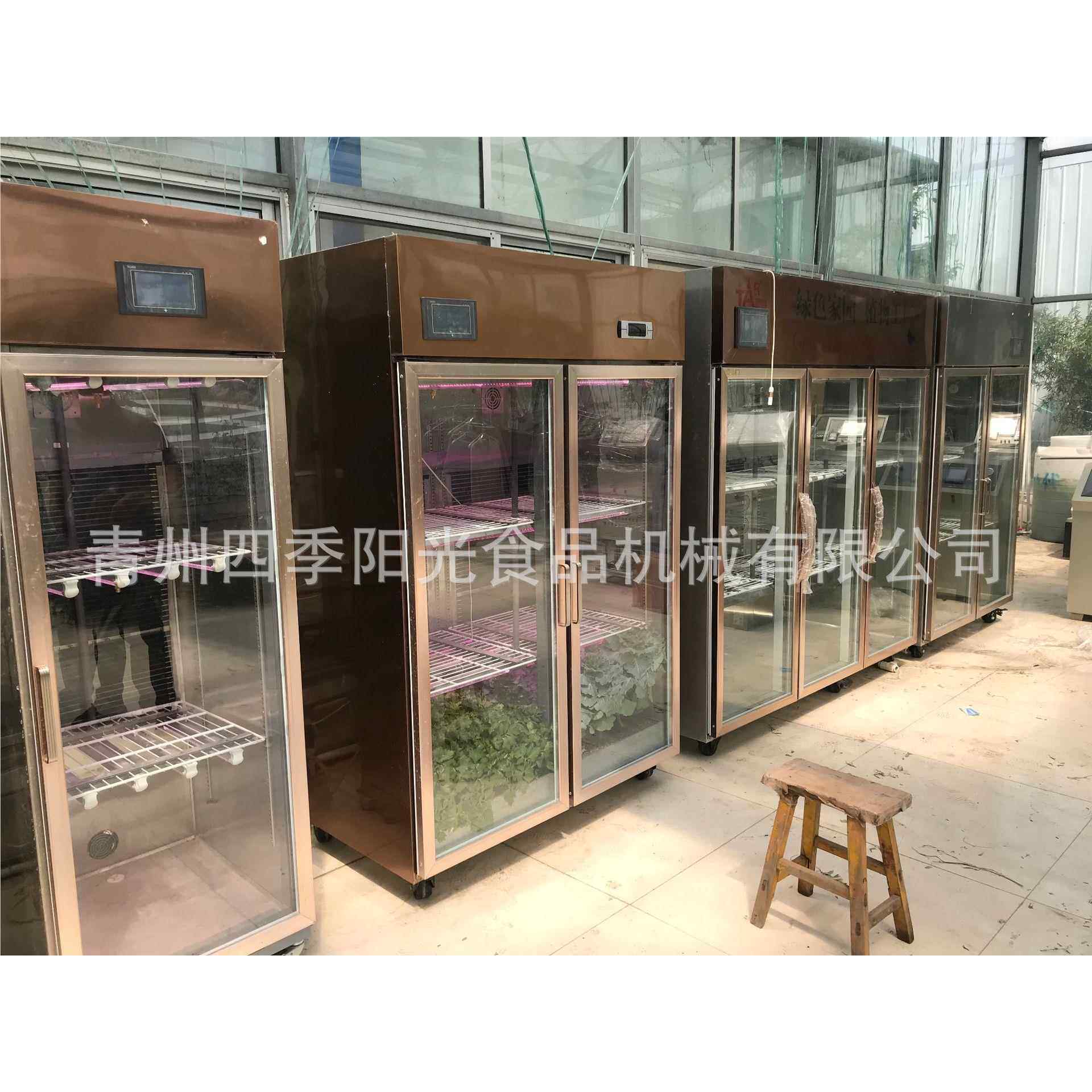 自化300恒温水培菜种植设备生菜种子催蔬芽沙动拉蔬菜机生长机械