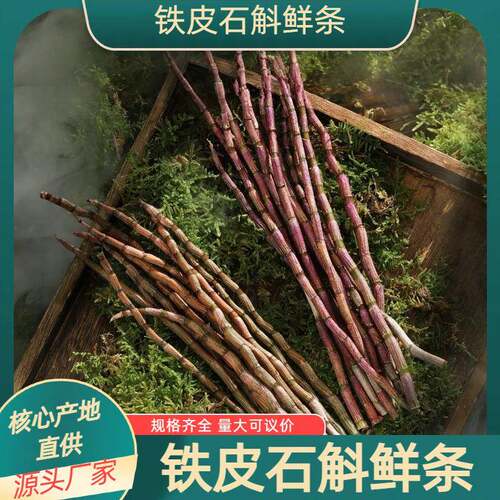 云南新鲜铁皮石斛鲜条500g四年生新鲜石斛铁皮枫斗农产品礼盒