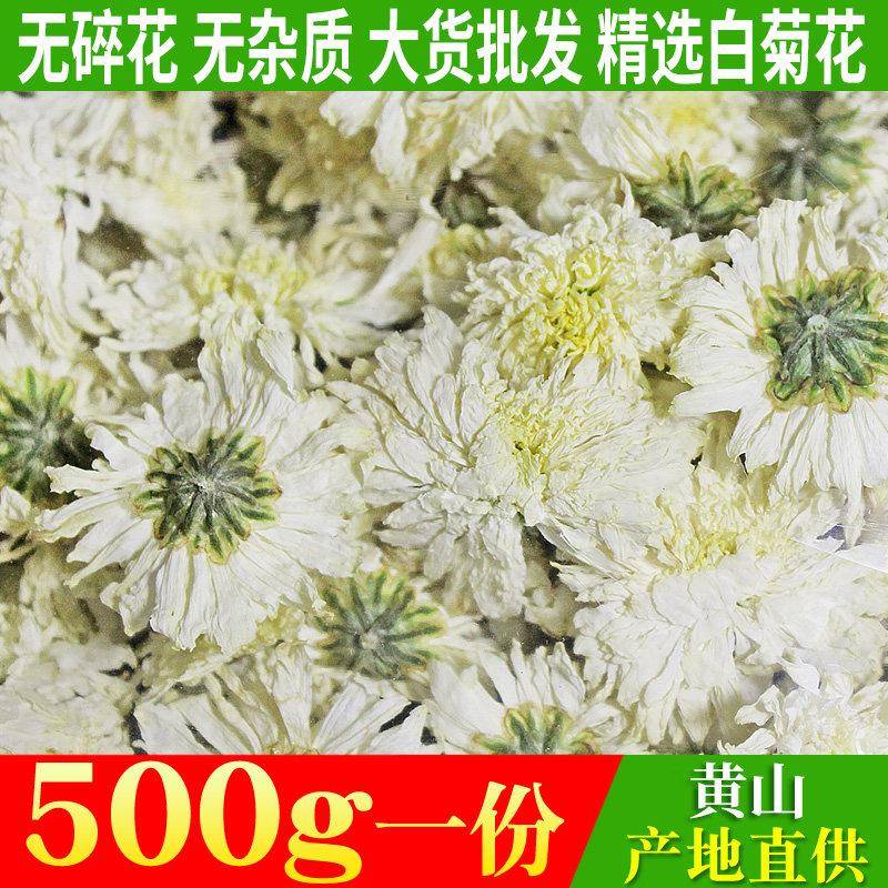 2025新花上市菊花茶500g黄山白菊泡茶特花级白菊花胎菊花草茶散装