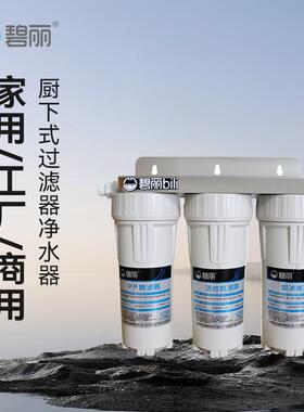 碧丽净水器3筒5级过滤设备前置厨下式过滤器饮水机净水器商用家用