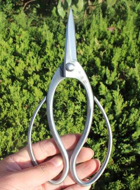 千藤坊家作不锈钢剪根剪高端盆景UYU造型制业工专具厂直销量大从