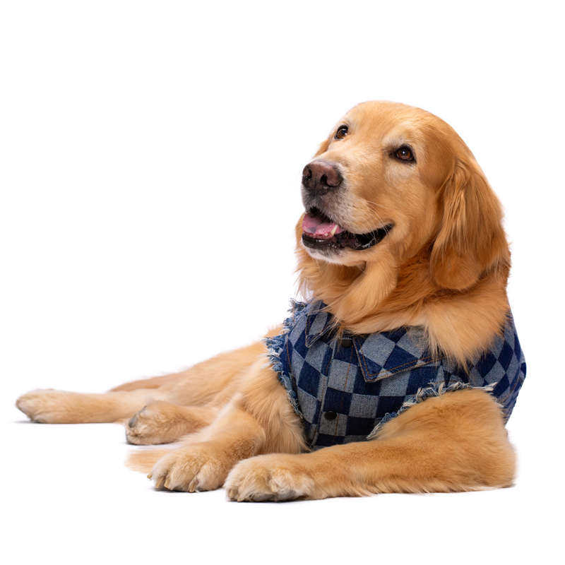 牛仔衣服狗经典二脚衣格子大型犬宠物秋冬款大金毛中型拉布拉多衫,宠物/宠物食品及用品,狗宠物服装/雨衣,淘宝优惠券,粉丝福利购,淘宝优惠卷
