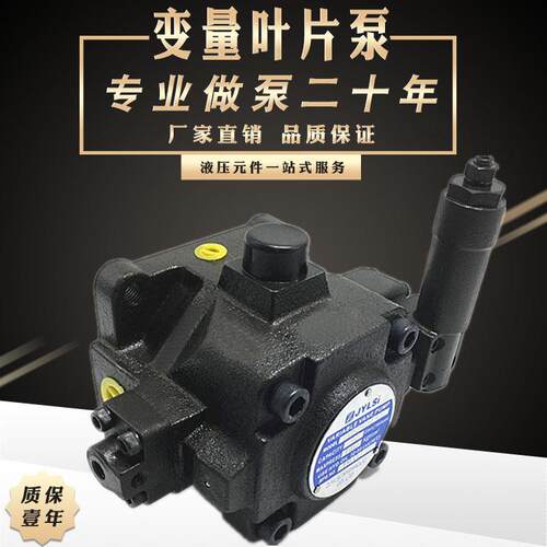 中高压变量叶片泵液压油泵HVPVC-F30/F40/F20-A2/A4/A3-02压力泵