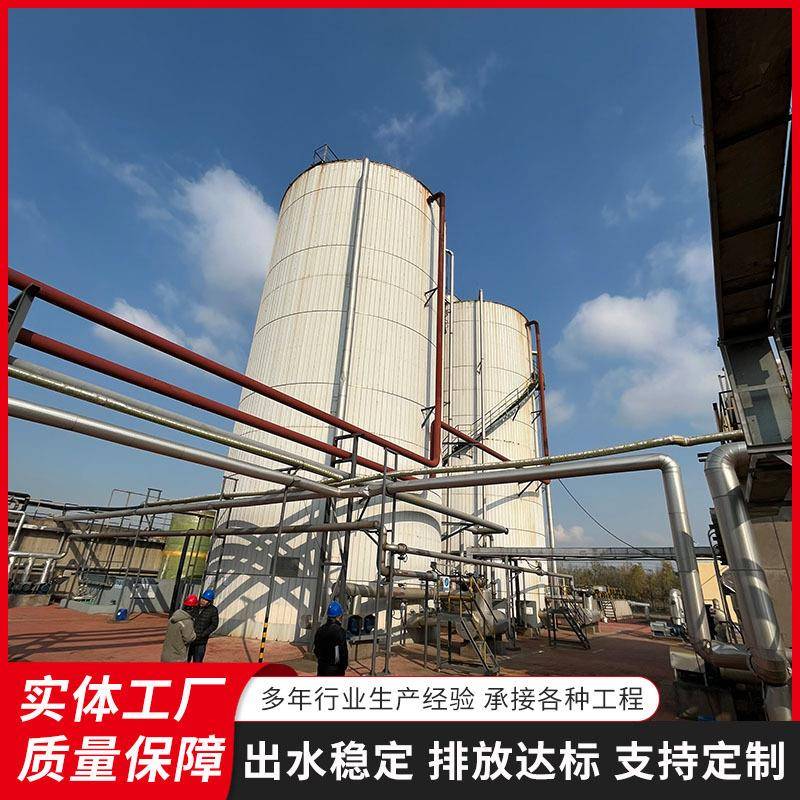 厌氧反应器养猪污水处理设备碧利源供应UASB厌氧塔