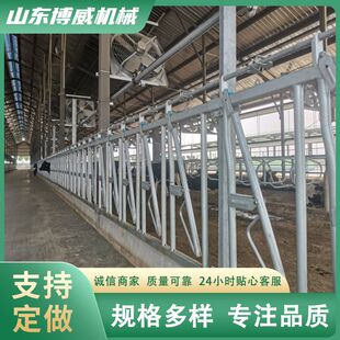 新型自锁式牛颈枷牛颈夹加厚热镀锌大小牛场设备通用