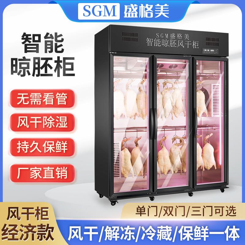 风坯柜晾鸭商用柜风干展示柜除湿保鲜广式烧鹅烤鸭烧腊设备电加热