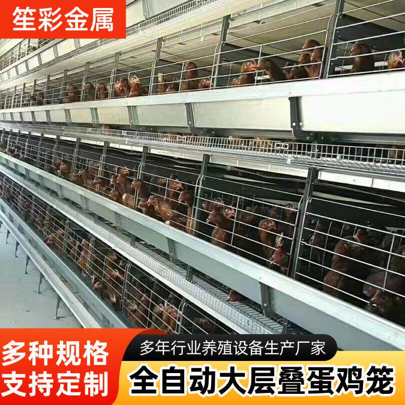 大层叠蛋鸡笼立体养鸡养殖自动饲喂自动化清粪捡蛋畜牧设备鸡笼