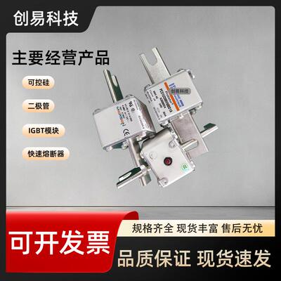 A070UD32TTI500P300462A070UD32TTI550R300464罗兰熔断器现货