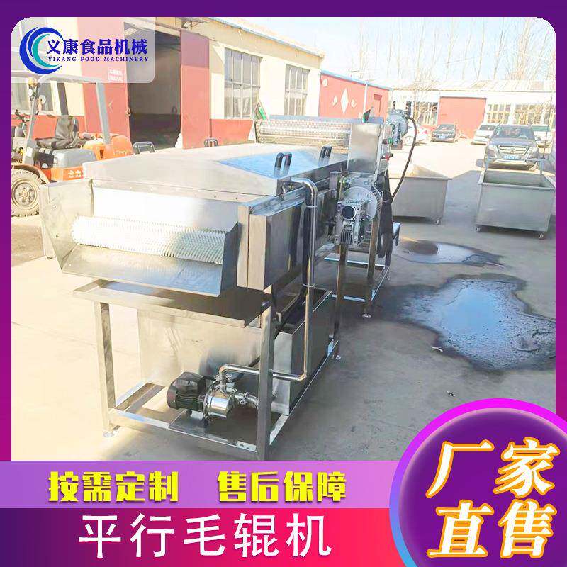 商用柑橘蜜桔清洗打蜡机脐橙甜橙清洗打蜡设备平行毛辊清洗机