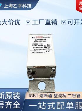 巴斯曼熔断器170M1802170M1803170M1804170M1805170M1806