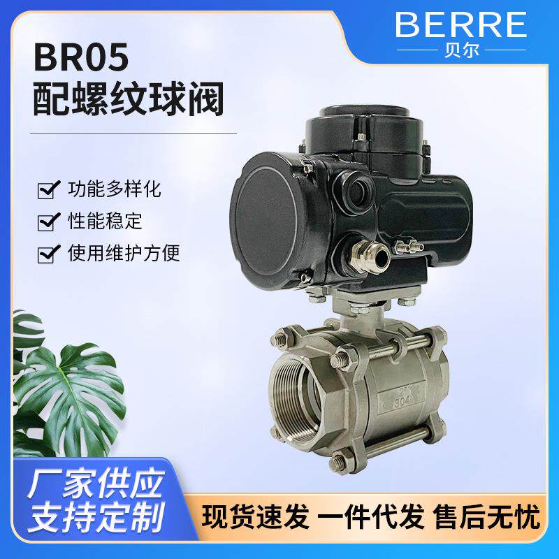 BR05配螺纹球阀活接法兰塑料球阀闸阀开关内牙内丝