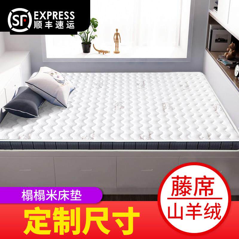 榻榻米床垫子定做椰棕塌塌米垫地垫炕家用卧室定制尺寸踏踏米垫子