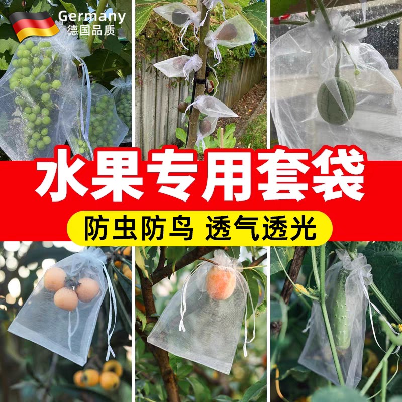 水果套袋防虫防鸟专用网袋葡萄桃子石榴芒果草莓无花果通用网纱袋
