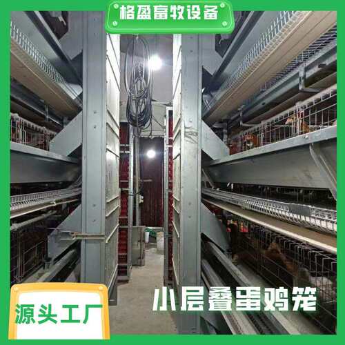 小层叠全自动化蛋鸡笼养殖场专用设备自动捡蛋清粪源头生产厂家