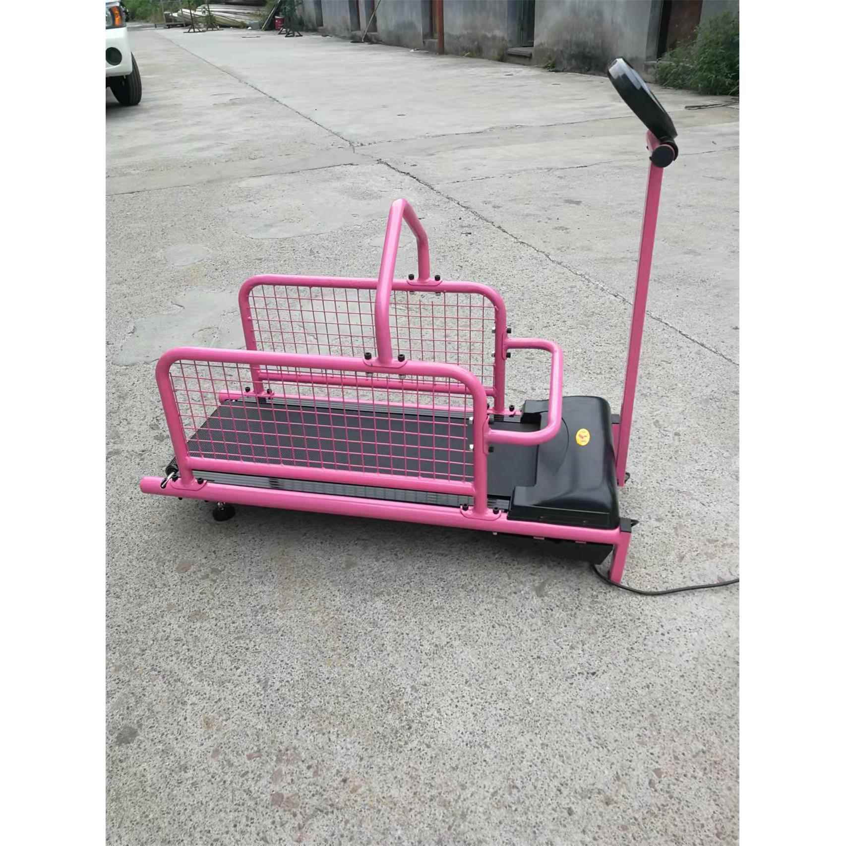 小宠训练宠物跑步机小狗跑步机动物跑步机宠物狗用品C100W