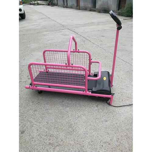 小宠训练宠物跑步机小狗跑步机动物跑步机宠物狗用品C100W