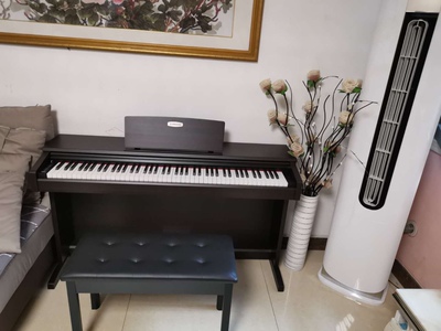 珠江艾茉森V03电钢琴怎么样入手彻底让人失望了是吗