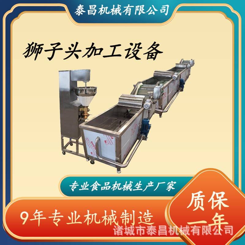 狮子头加工设备麻辣烫肉丸成型设备小型包心丸子生产线鱼丸加工线