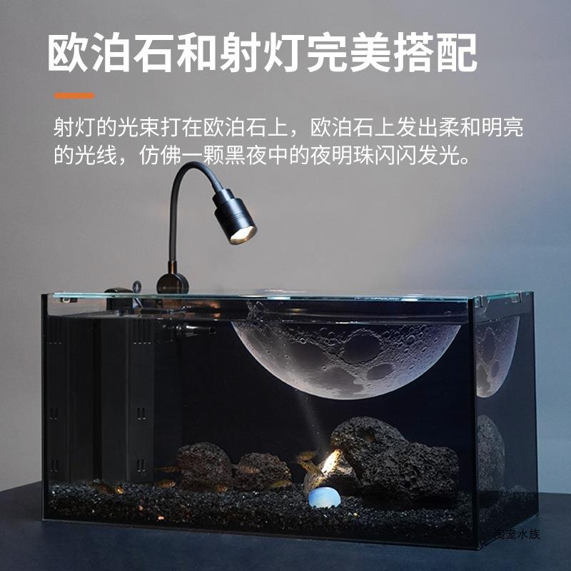 淘4EUC内滤鱼缸全套创意造景雷龙缸小型自0桌宠面超白玻璃客厅循