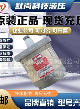 法国进口HPI齿轮泵P1BAN1004CL10B01N/C5074932 P1BN1005FL油泵