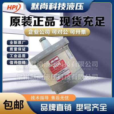 法国进口HPI齿轮泵P1BAN1004CL10B01N/C5074932 P1BN1005FL油泵
