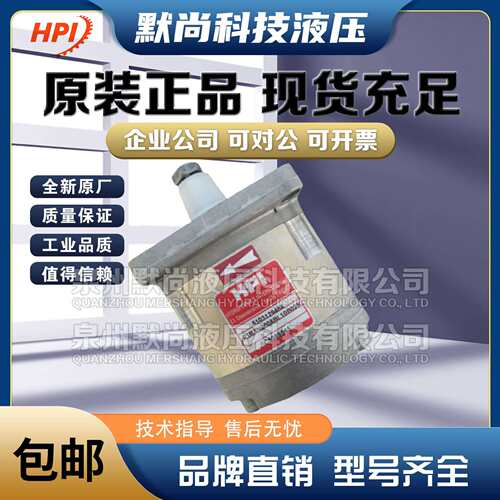 法国进口HPI齿轮泵P1BAN1004CL10B01N/C5074932 P1BN1005FL油泵