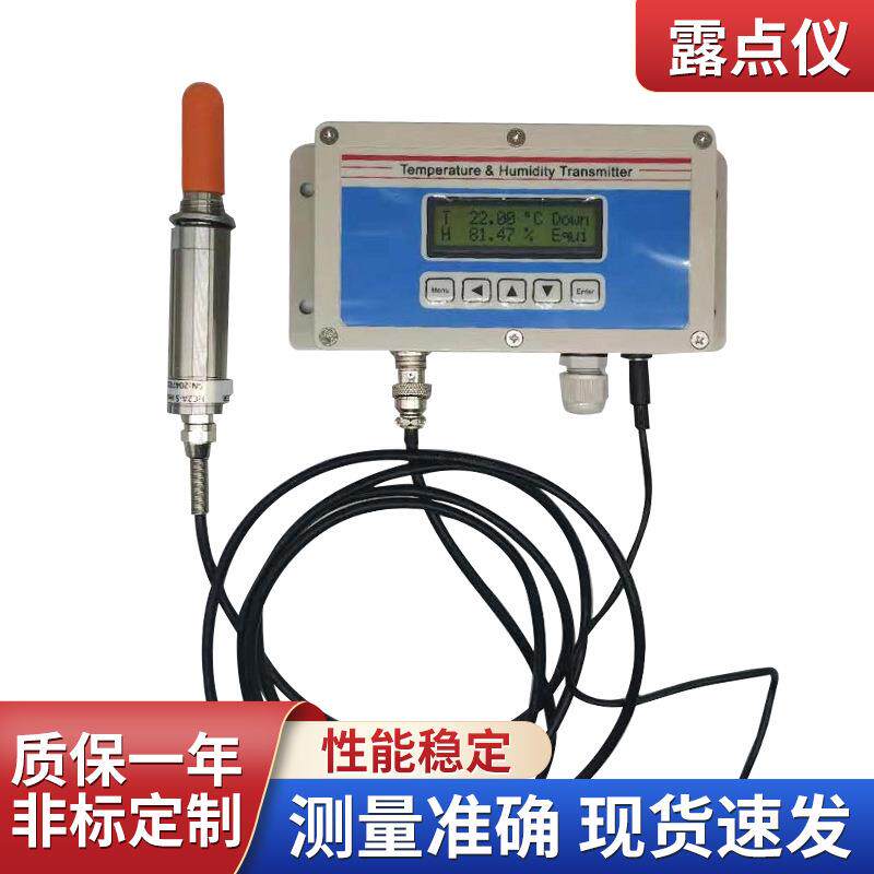 厂家新品冷干机用露点仪工业级温湿度露点测量仪实验室干燥净化用
