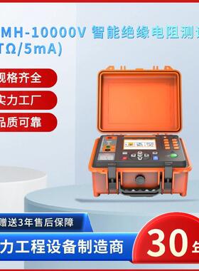电力ZSDMH-10000V智能绝缘电阻测试仪(10TΩ/5mA)绝缘电阻