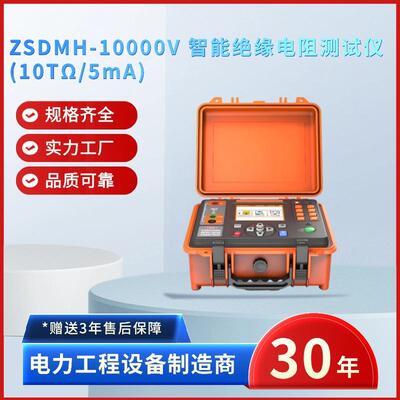 电力ZSDMH-10000V智能绝缘电阻测试仪(10TΩ/5mA)绝缘电阻