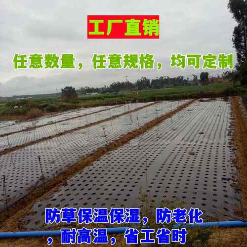 打孔地膜农用种植防草菜地玉米地钻孔带孔薄膜黑膜银黑地膜免打孔