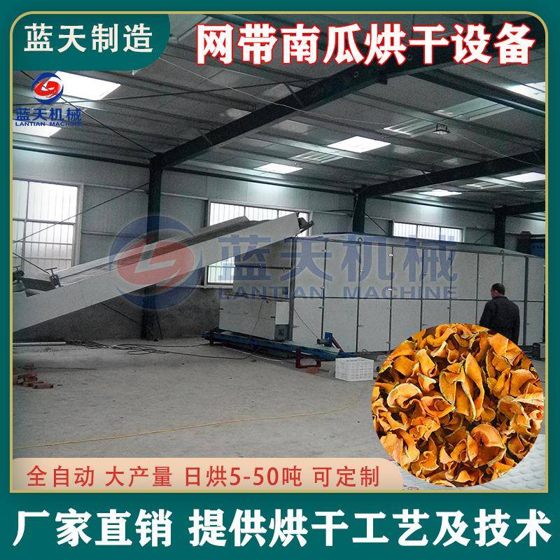 南瓜烘干机 连续式南瓜清洗去瓤切片烘干生产线设备 南瓜粒干燥机