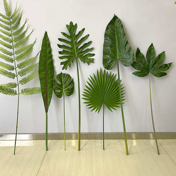 龟背叶春雨叶鸟巢叶北欧风格插花装饰绿色植物墙森系花艺马小