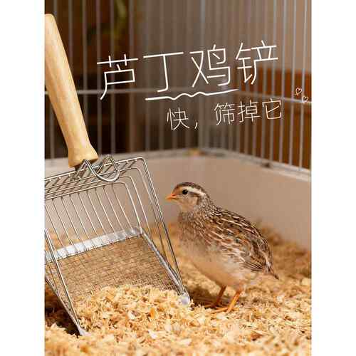 芦丁鸡铲可挂不锈钢铲屎官铲子细孔豆腐猫砂铲二合一矿砂薯条铲