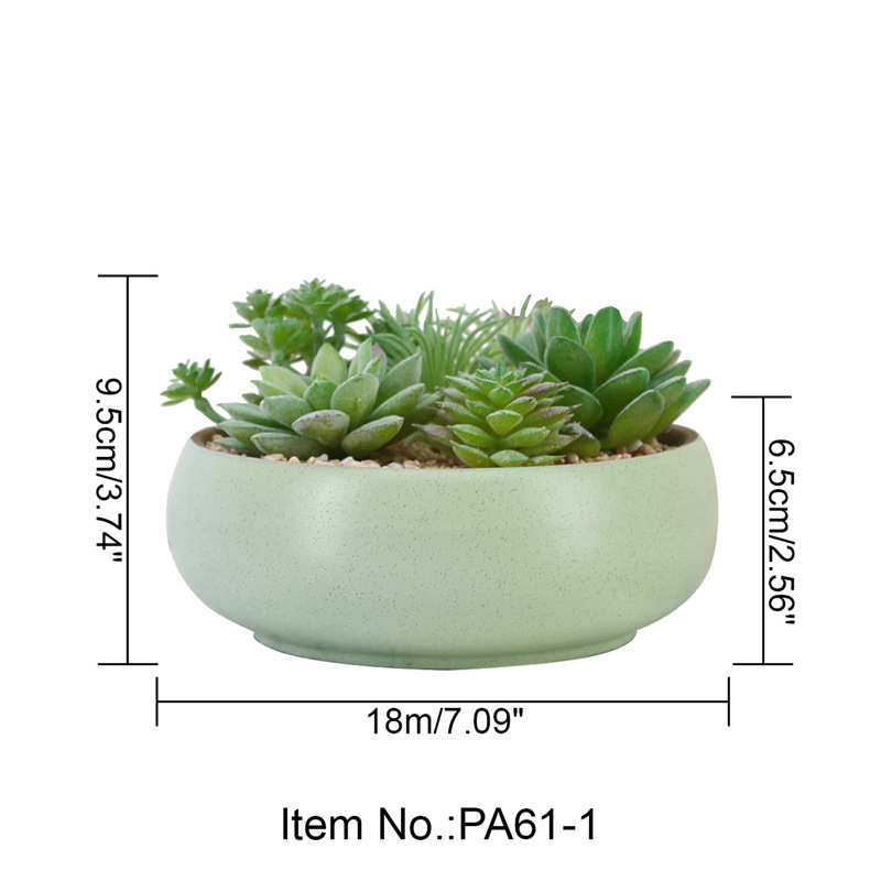 陶瓷 盆栽 植物彩色肉货源景观微家居装饰套餐肉假真多仿多