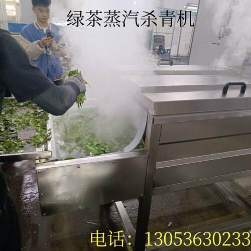 婆婆丁漂烫杀青机 山野菜加工辣菜漂烫机 黄花菜预煮护色流水线
