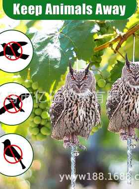直销新款驱鸟神器仿真猫头鹰镭射反光双面亚克力驱鸟猫头鹰果园阳