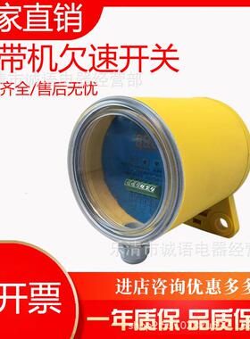 欠速开关BXYDH SMS-BI DH-Ⅲ DHJY-II输送带打滑检测器速度开关