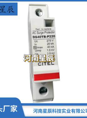 上海雷迅ASP 智能 一级开关型防雷器 电源电涌保护器SIM1-15