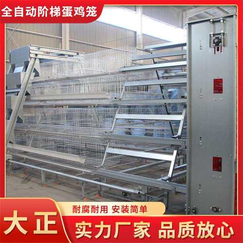 全自动阶梯蛋鸡笼 A字型阶梯式组装笼三层四层阶梯蛋鸡笼鸡笼厂家