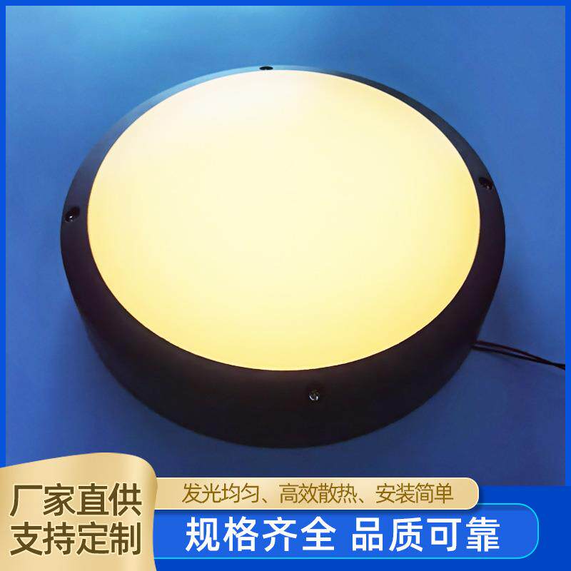 低电压24V 吸顶灯 无光斑 阳台灯 LED灯珠贴片 10W功率